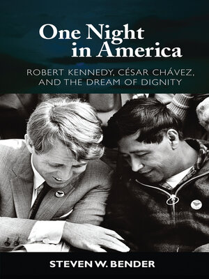 cover image of One Night in America